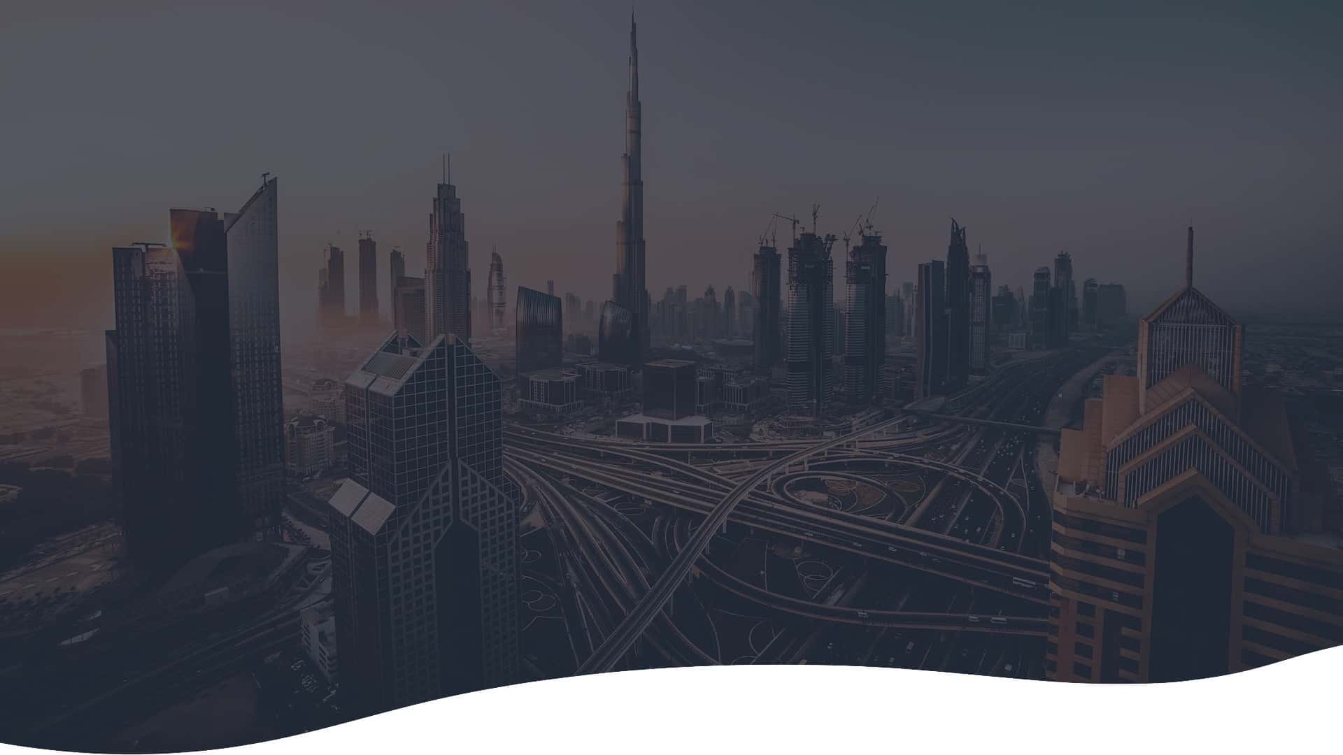 back-dubia-1.jpg